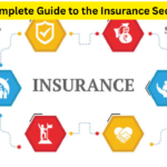 A Complete Guide to the Insurance Sector
